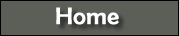 Home button